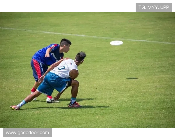 南京飞盘队强势登顶最新飞盘力量排行榜前十名分析与解读